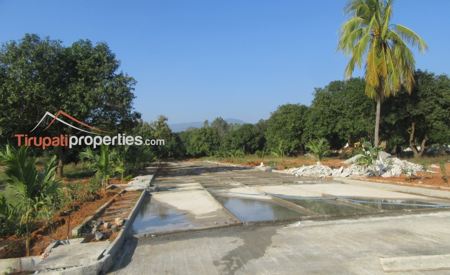 East and West Facing Plots for Sale Before Vidyanikethan College, Tirupati